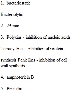 Post lab - Effects of Antibiotics